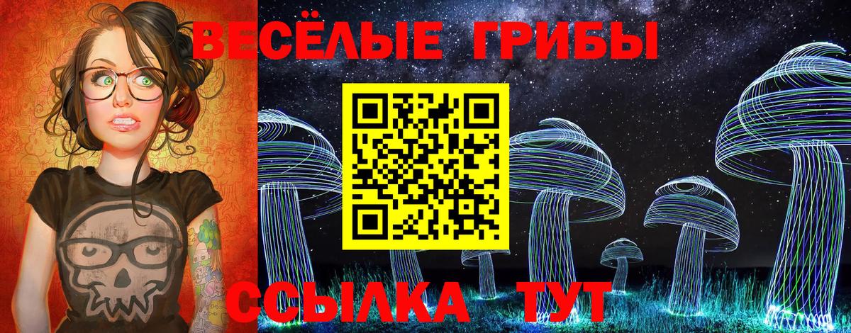 Шатура  наркота  Вход с VPN  Псилоцибиновые грибы ЛСД  Псилоцибиновые грибы Cubensis 