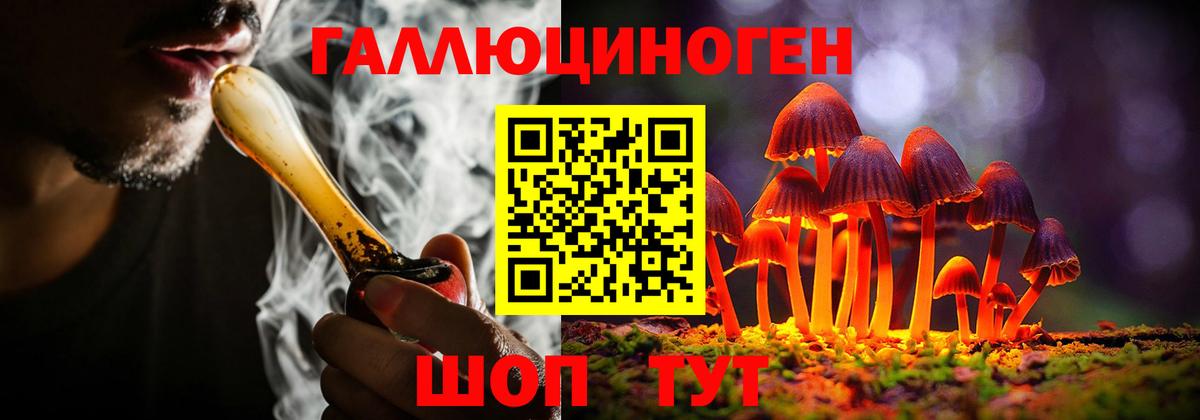Псилоцибиновые грибы GOLDEN TEACHER Шатура